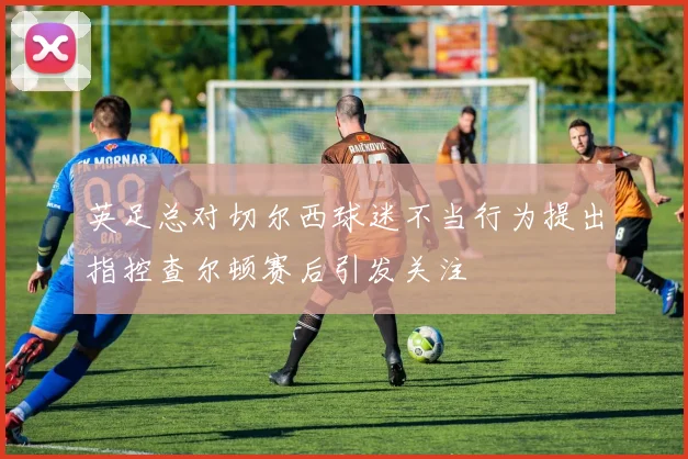 英足总对切尔西球迷不当行为提出指控查尔顿赛后引发关注